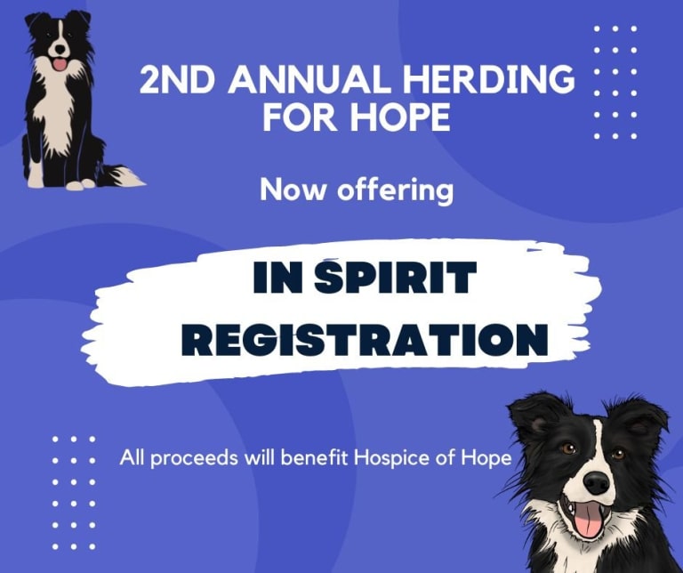 Herding for Hope - Entries In Spirit