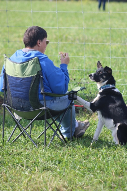 Thumbnail for The 2nd Annual Herding for Hope